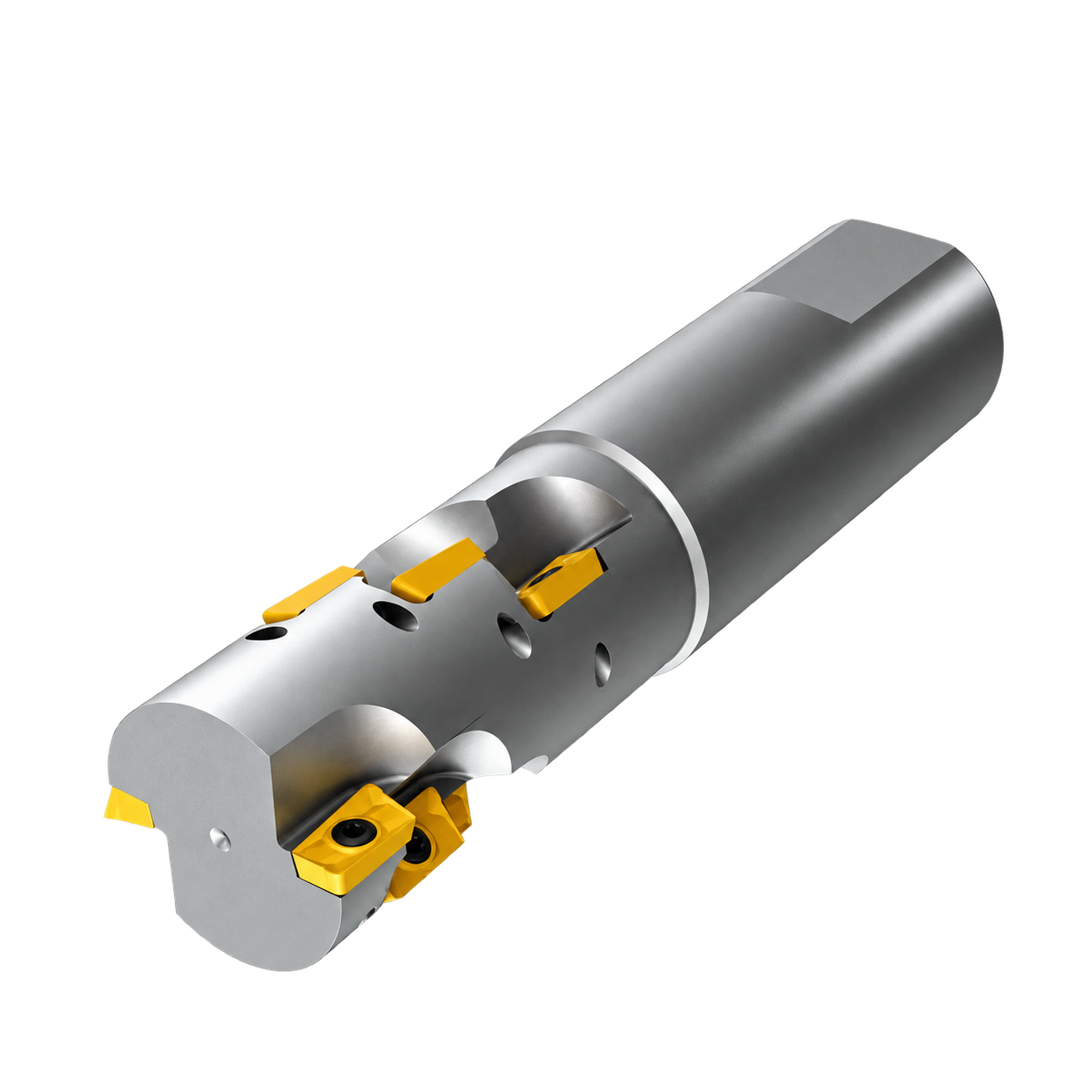 Fresa PE02.11W32.032.02