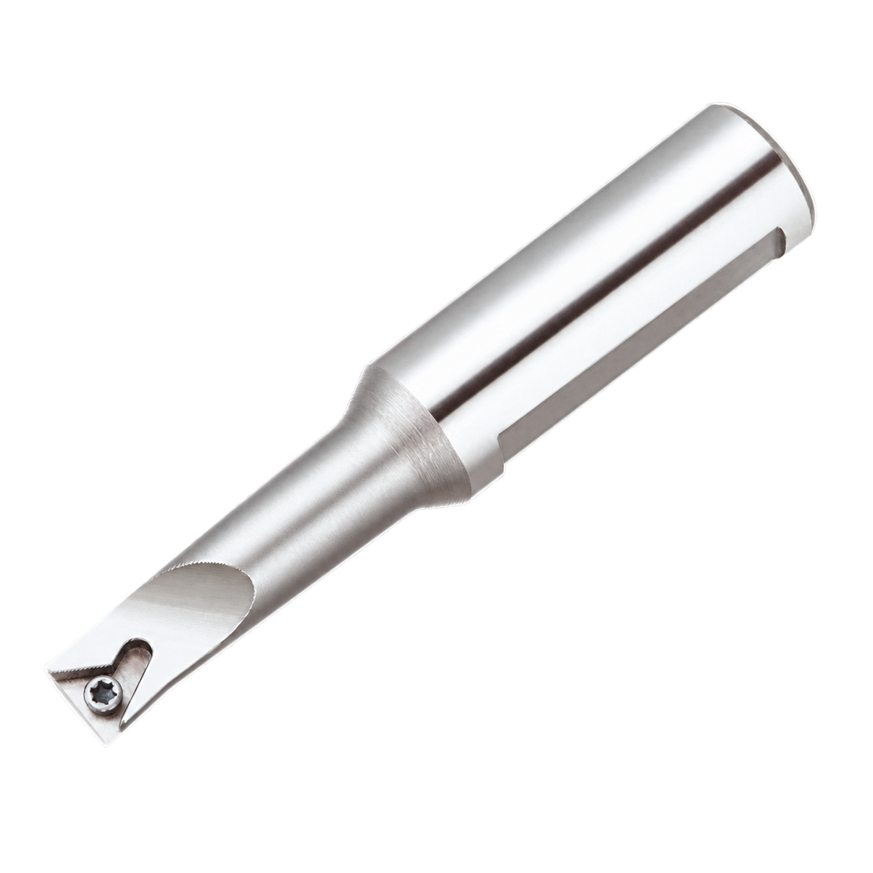 Sistema de mandrilamento EWB1631-90 (31-38 mm)